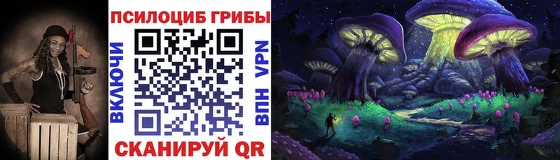 Купить где Мещовск Псилоцибиновые грибы MAGIC MUSHROOMS